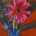 Gerbera in blauer Vase 2