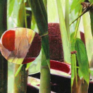 Bambus mit Früchten